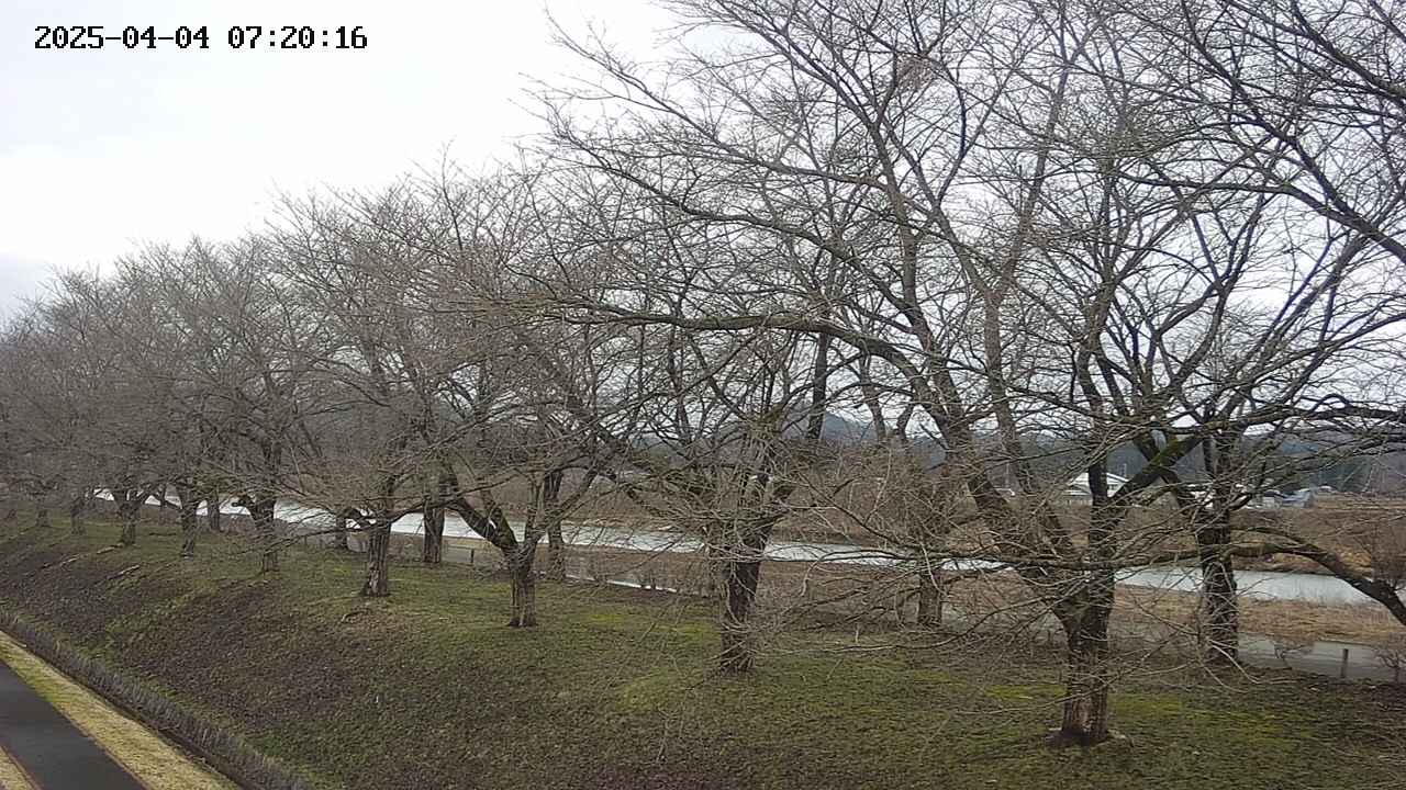 ochiai1-20250404072018.jpg