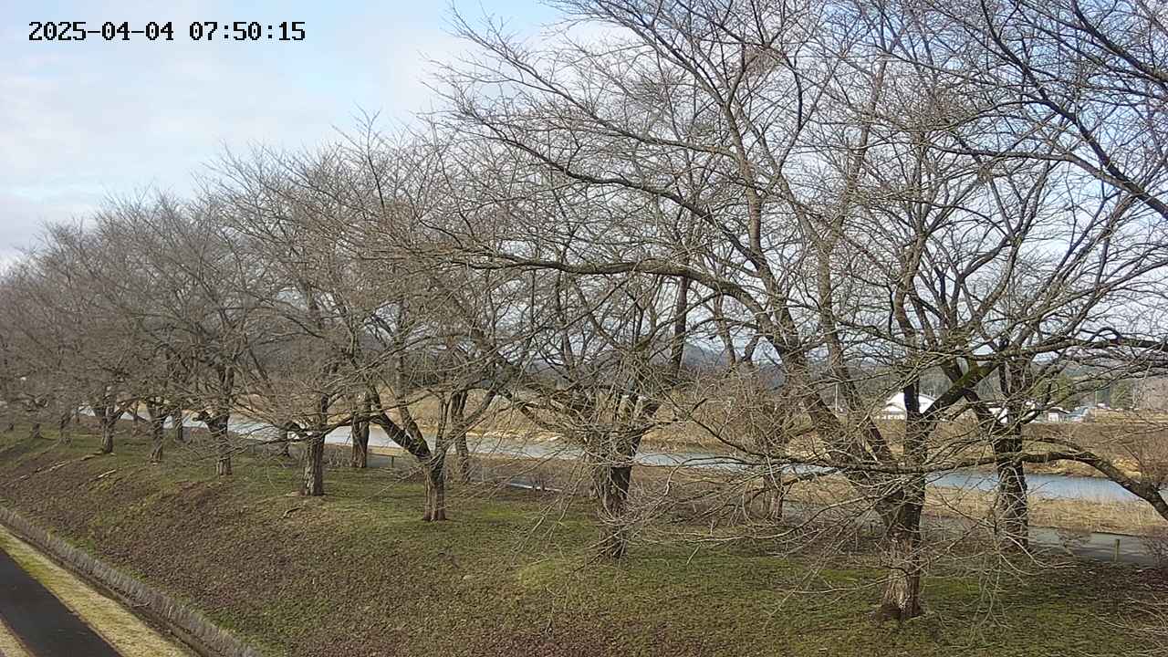 ochiai1-20250404075018.jpg