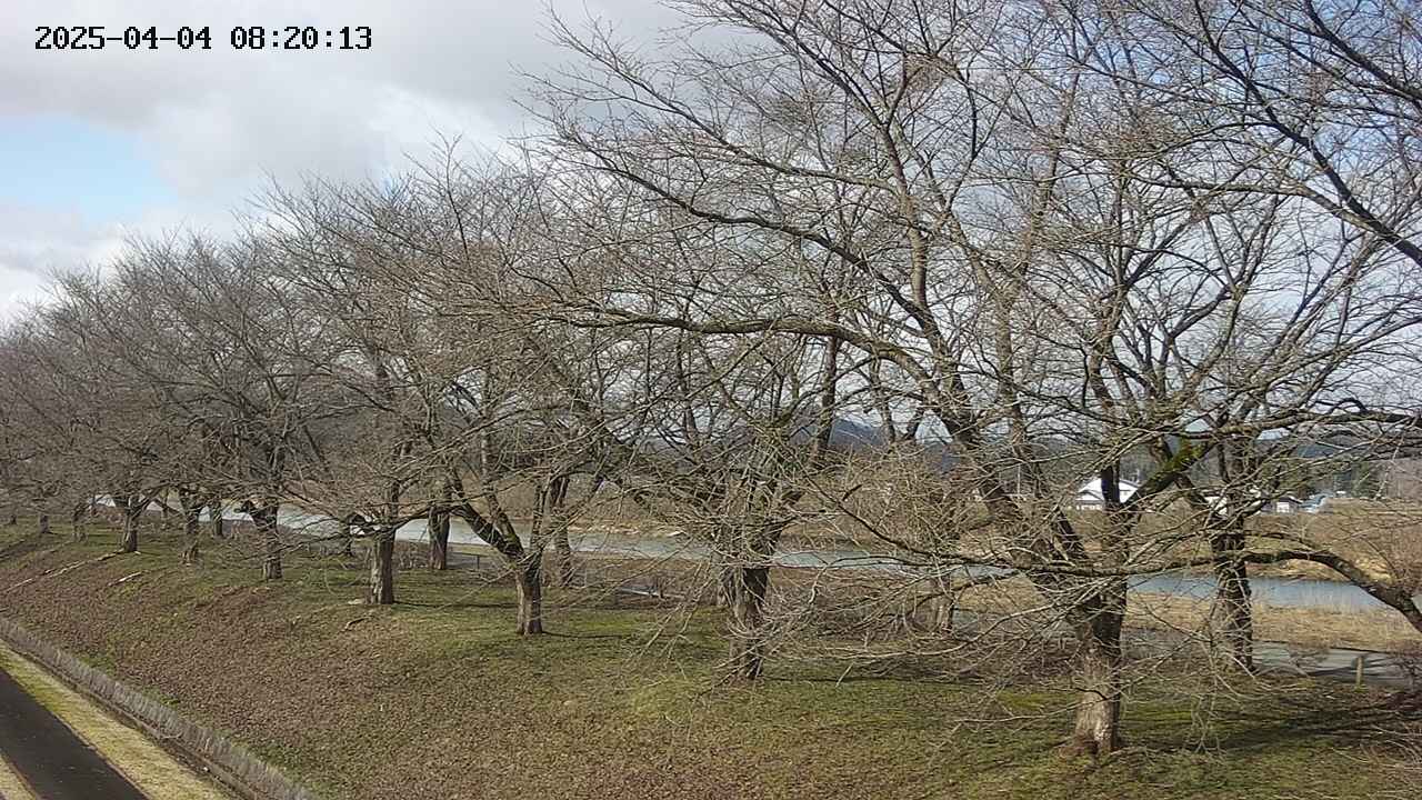 ochiai1-20250404082015.jpg