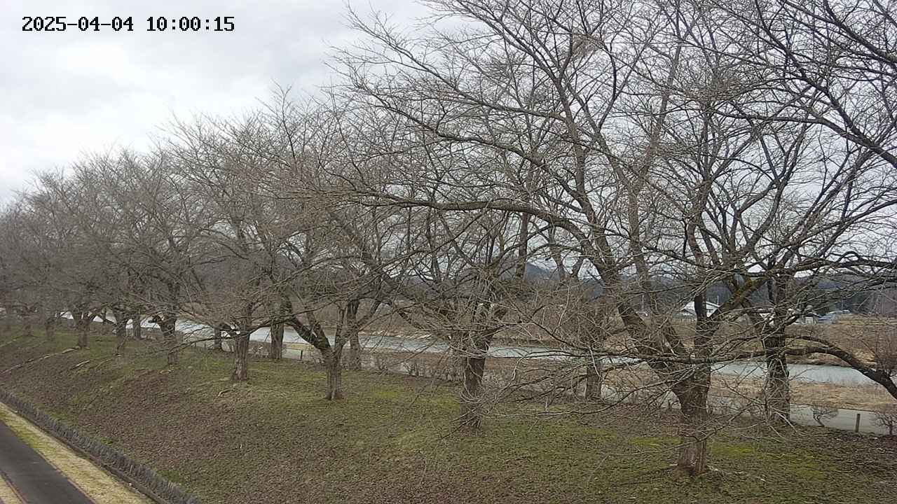 ochiai1-20250404100017.jpg
