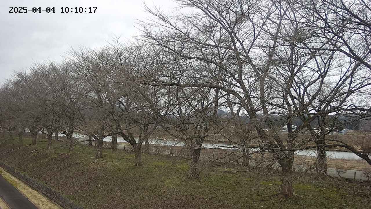 ochiai1-20250404101018.jpg