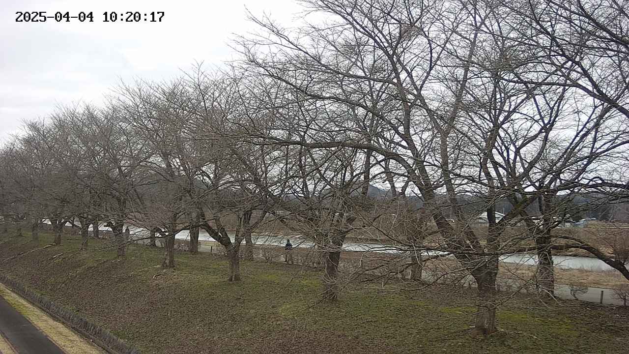 ochiai1-20250404102017.jpg