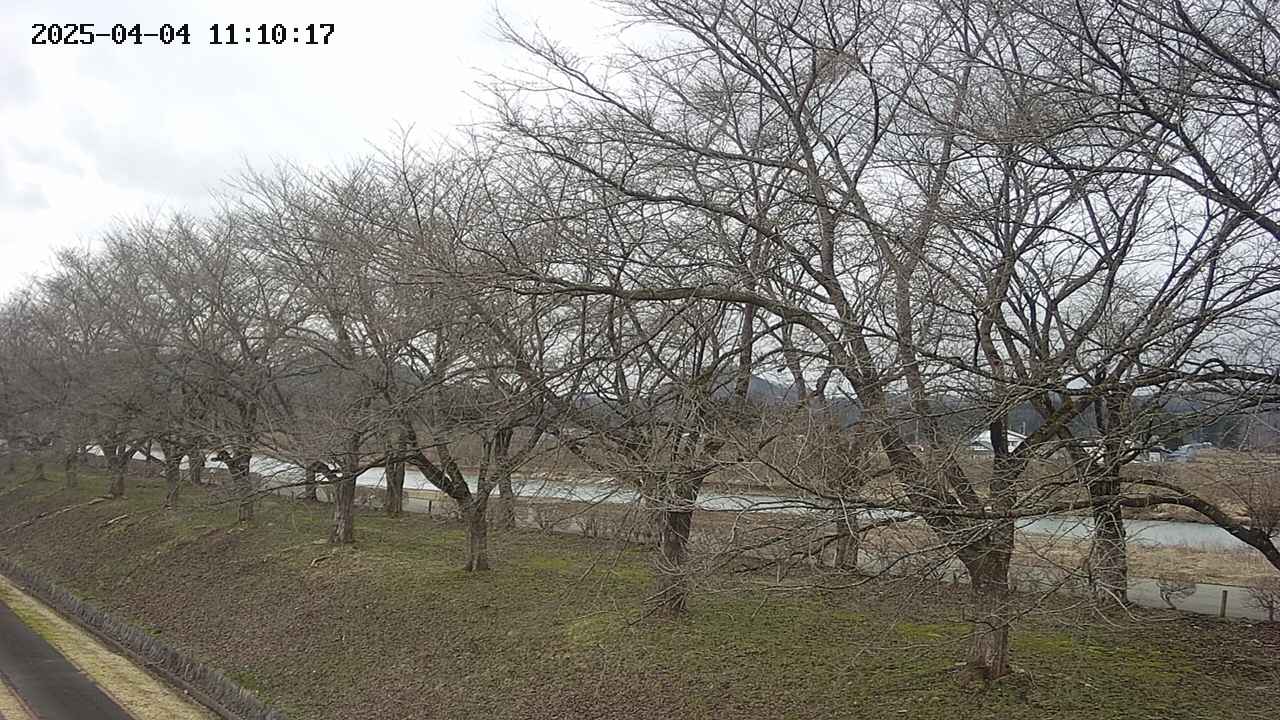 ochiai1-20250404111018.jpg