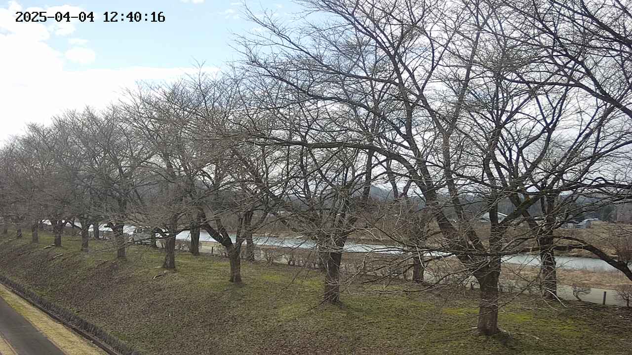 ochiai1-20250404124017.jpg
