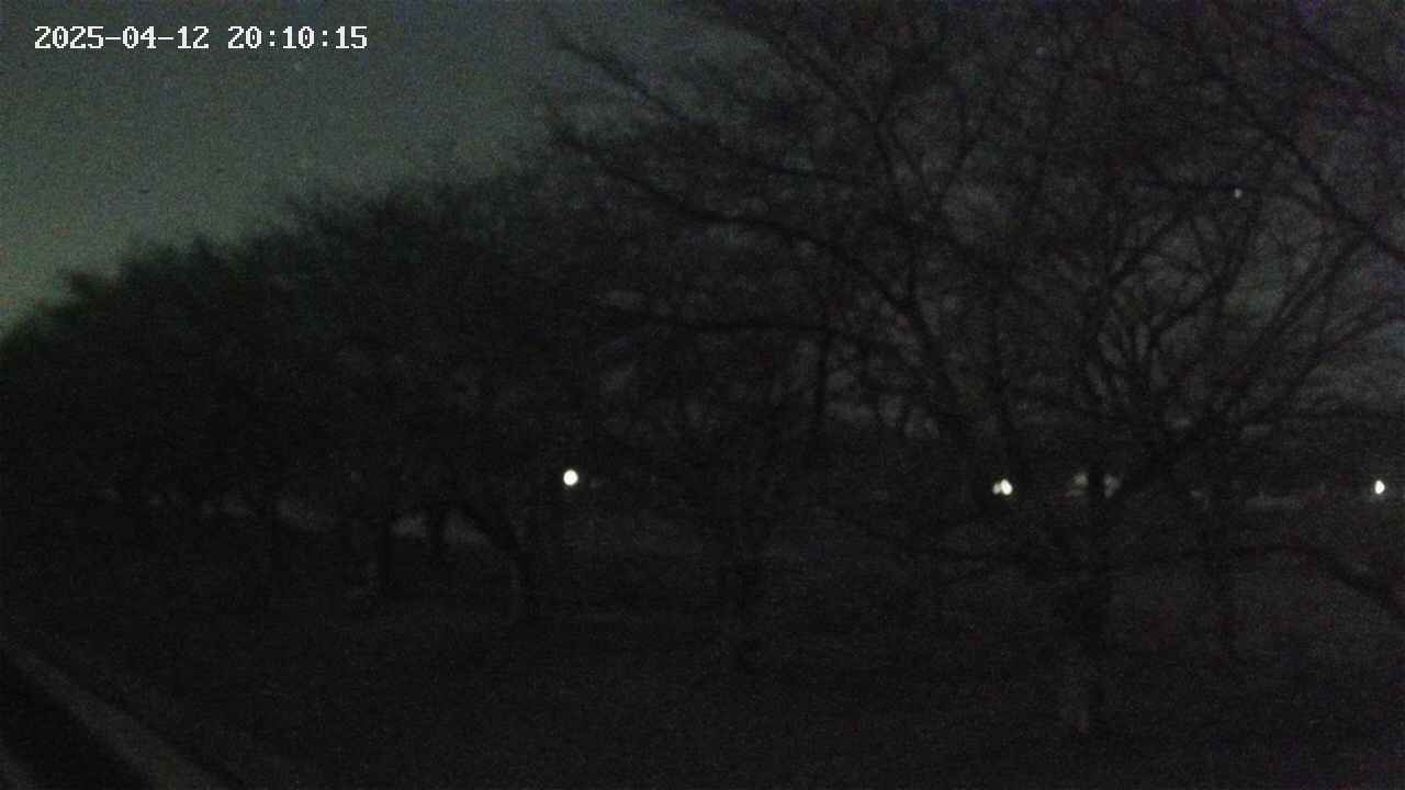 ochiai1-20250412201016.jpg