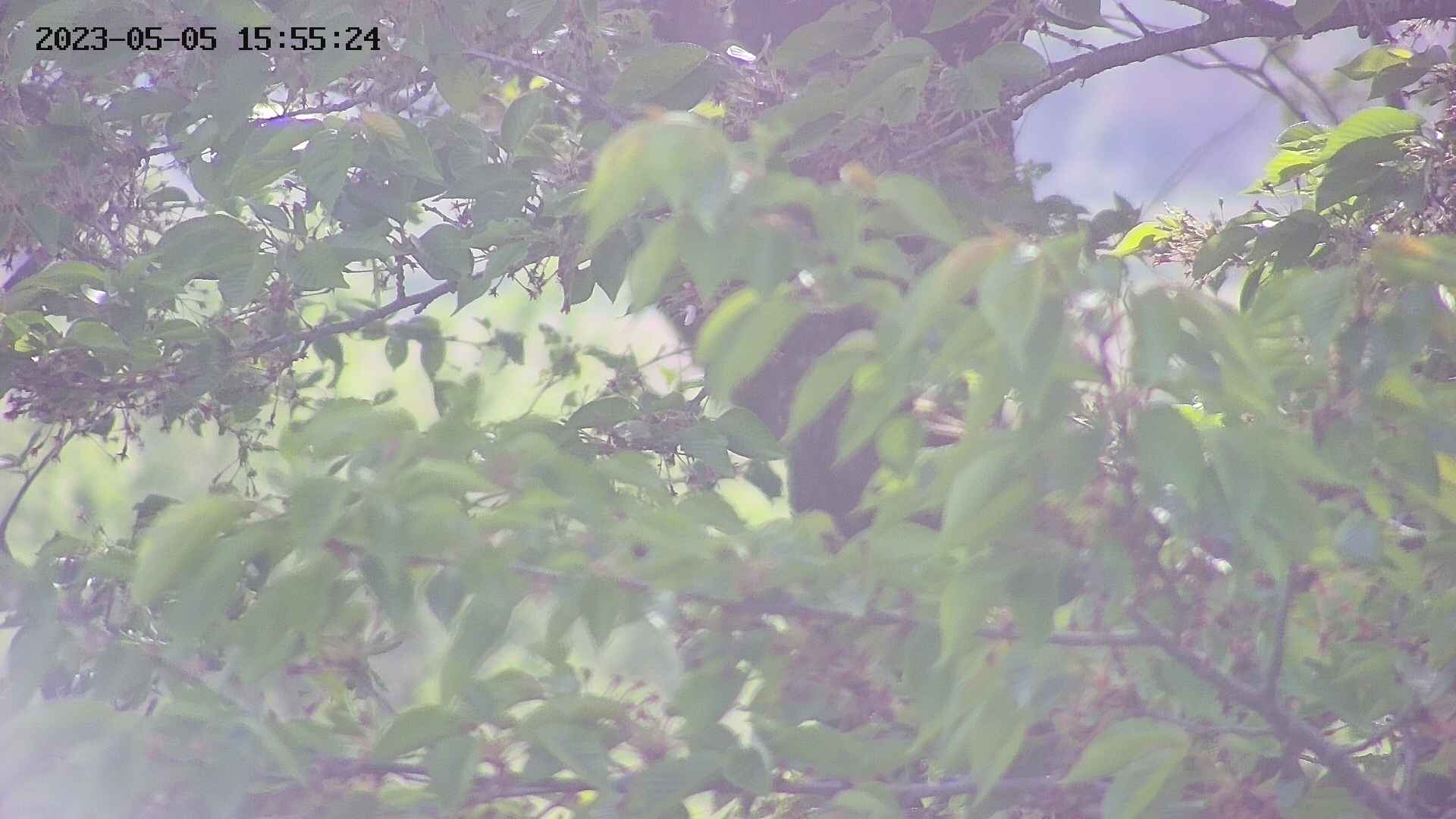 ochiai2-20230505155524.jpg