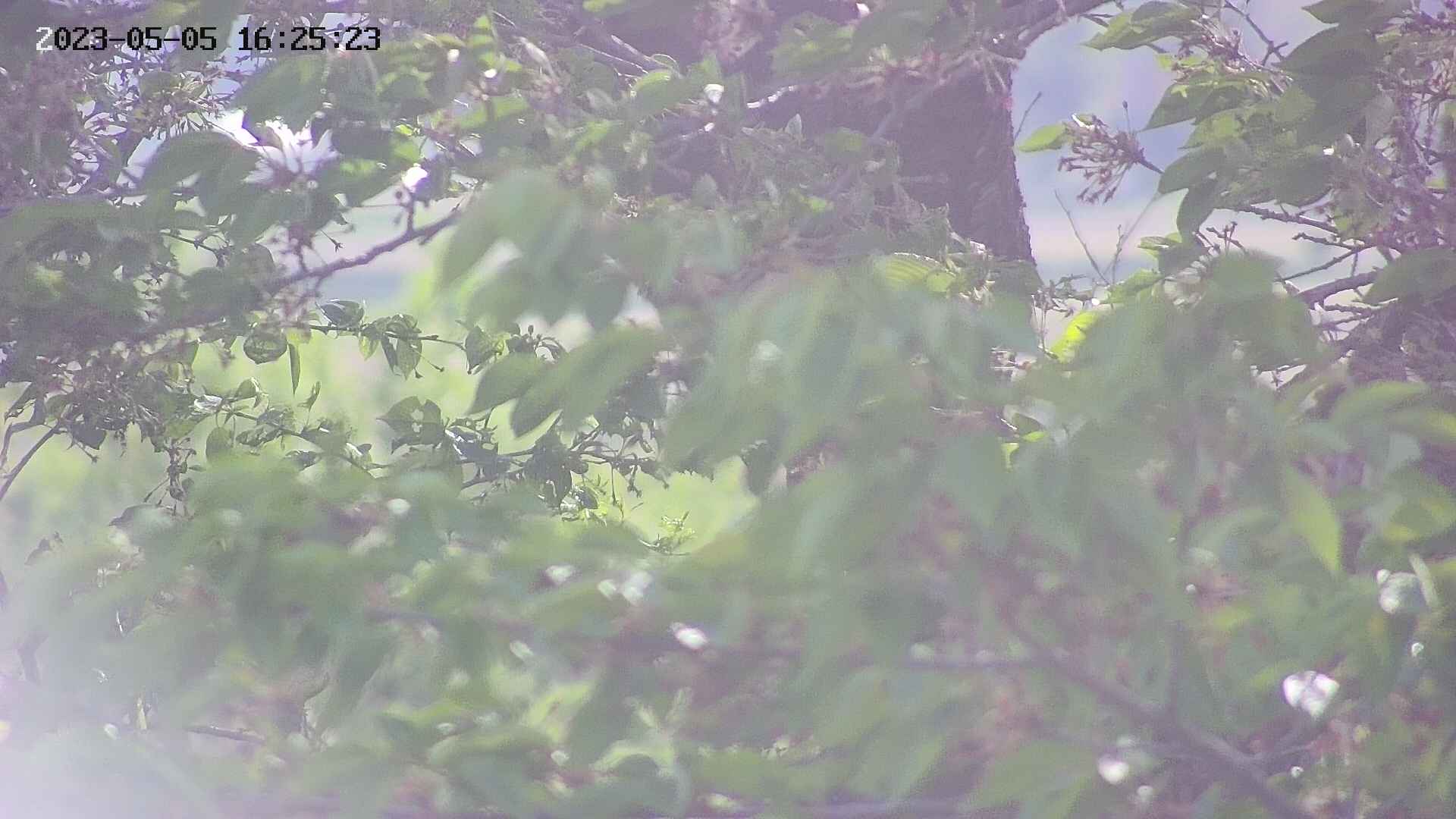 ochiai2-20230505162524.jpg