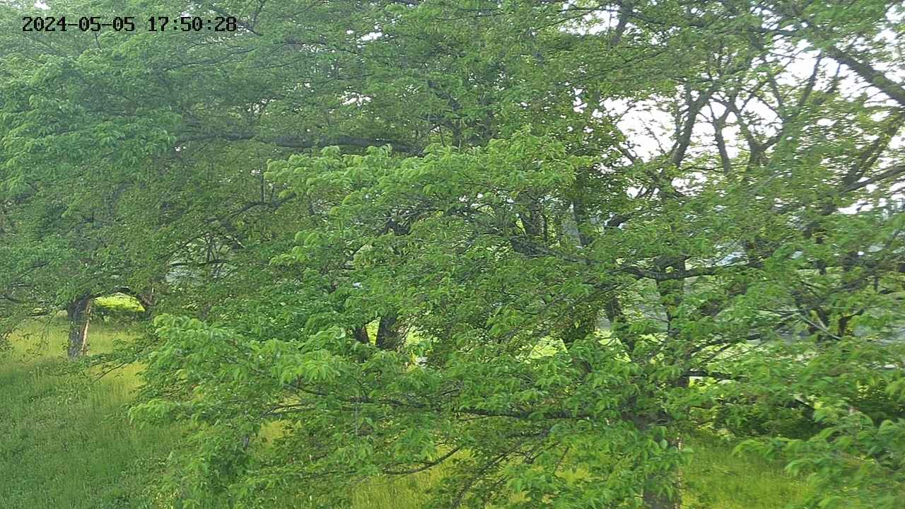 ochiai2-20240505175030.jpg