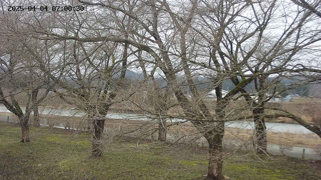 ochiai2-20250404070032.jpg