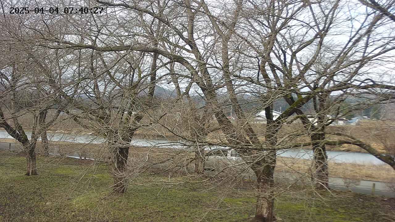 ochiai2-20250404074030.jpg