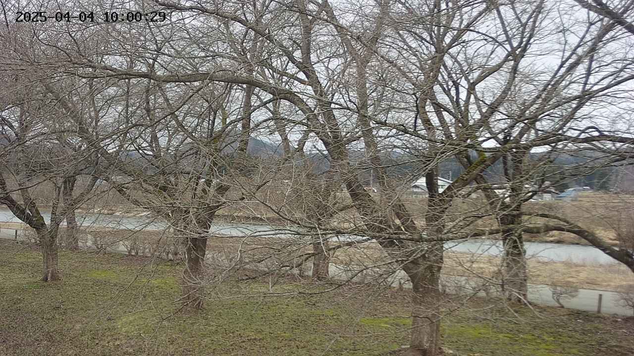 ochiai2-20250404100030.jpg