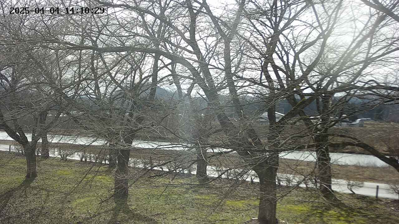 ochiai2-20250404141030.jpg