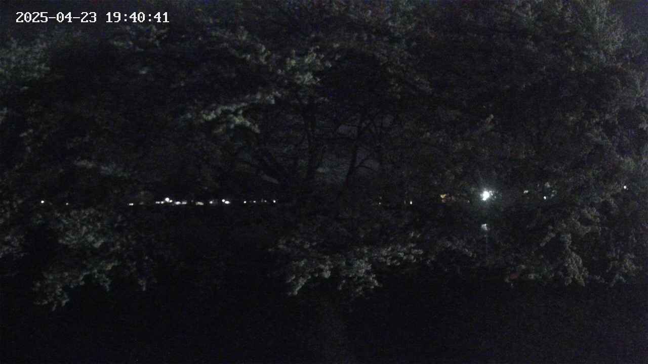 ochiai3-20250423194042.jpg