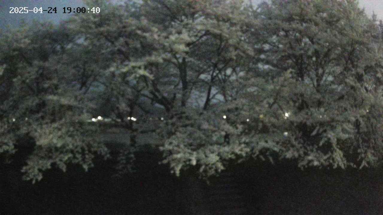 ochiai3-20250424190042.jpg