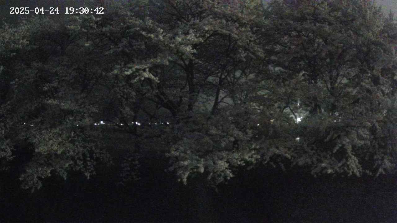 ochiai3-20250424193043.jpg