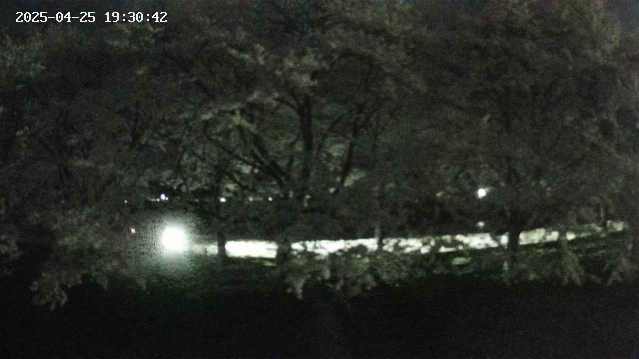 ochiai3-20250425193043.jpg