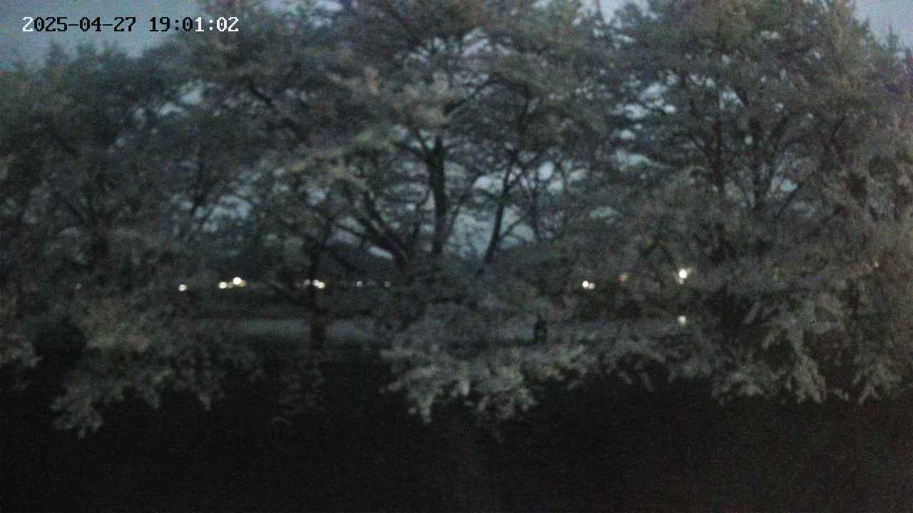 ochiai3-20250427190112.jpg