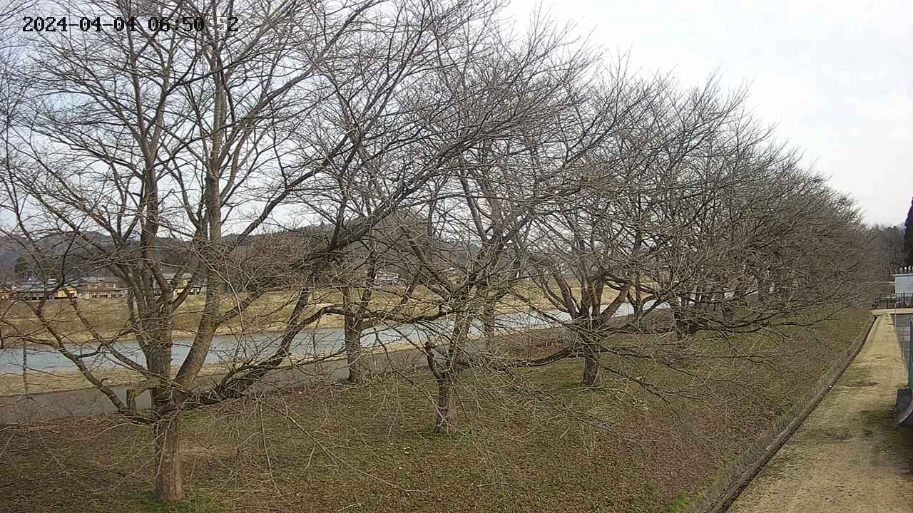 ochiai4-20240404065055.jpg