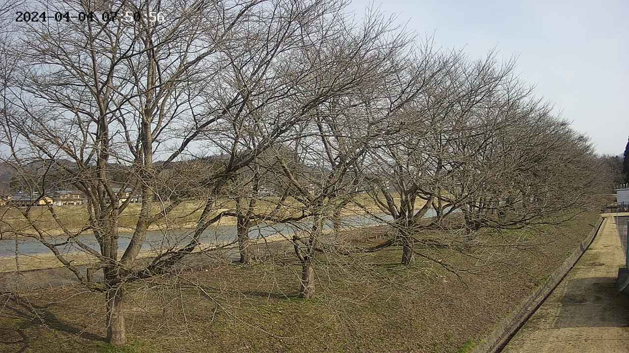 ochiai4-20240404075059.jpg