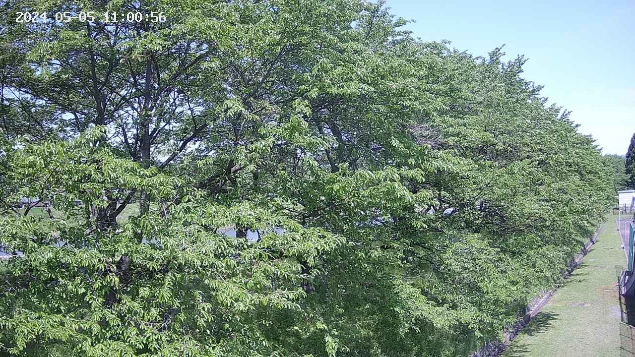 ochiai4-20240505110057.jpg