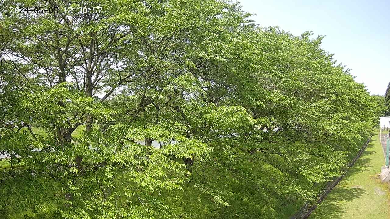 ochiai4-20240505123058.jpg