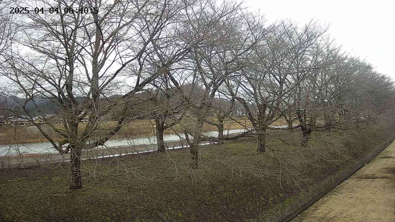 ochiai4-20250404064058.jpg
