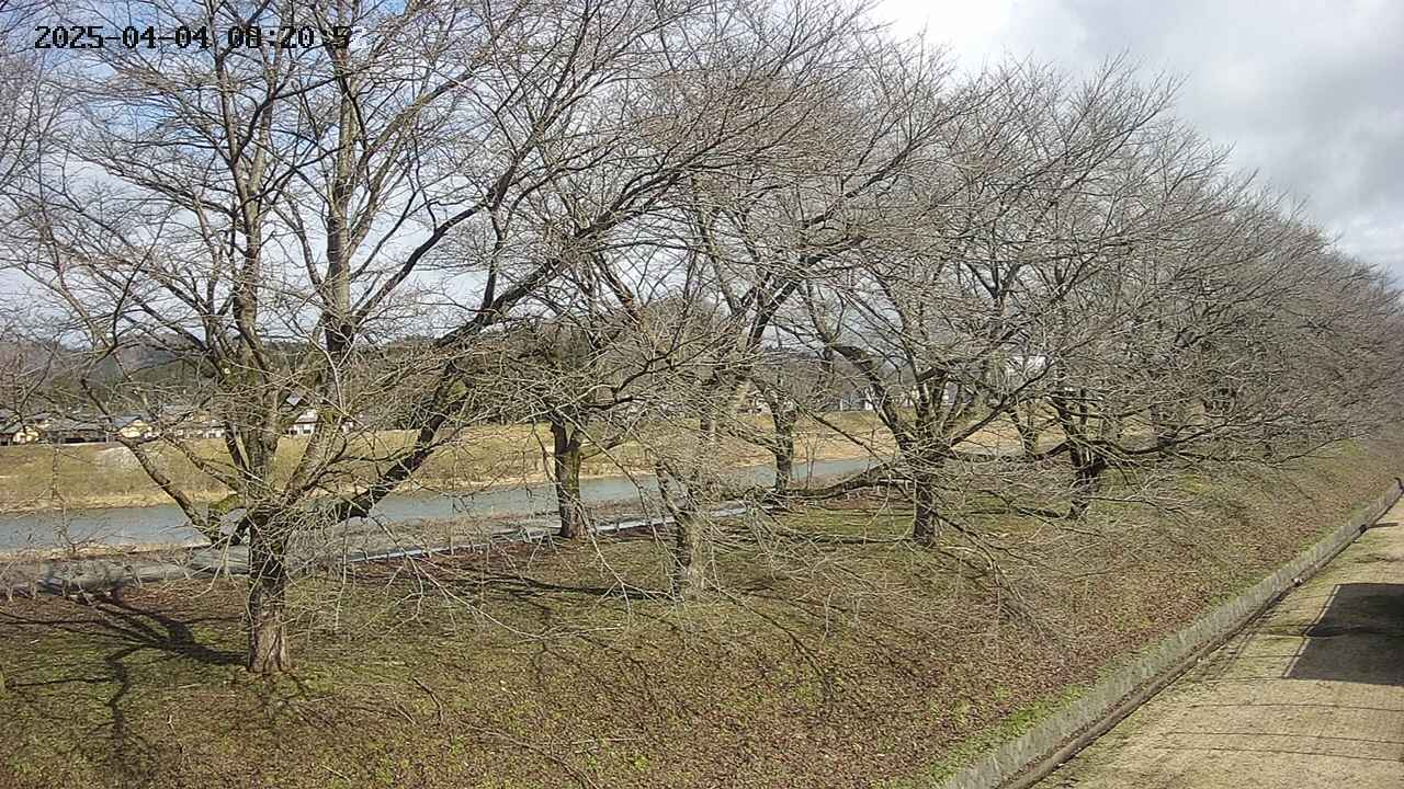 ochiai4-20250404082054.jpg
