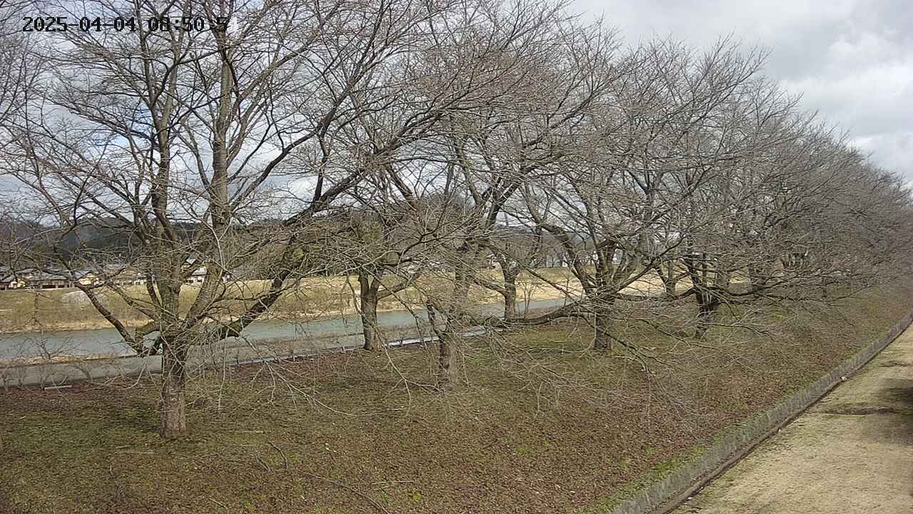 ochiai4-20250404085057.jpg