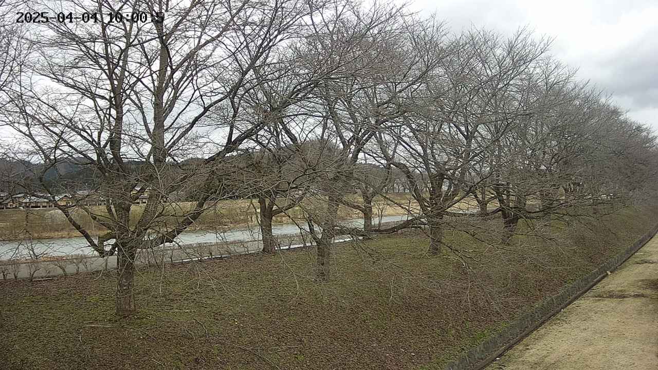 ochiai4-20250404100057.jpg