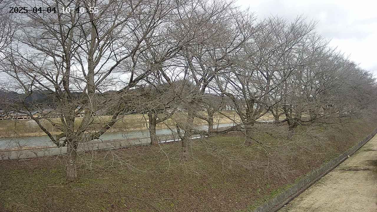 ochiai4-20250404104056.jpg