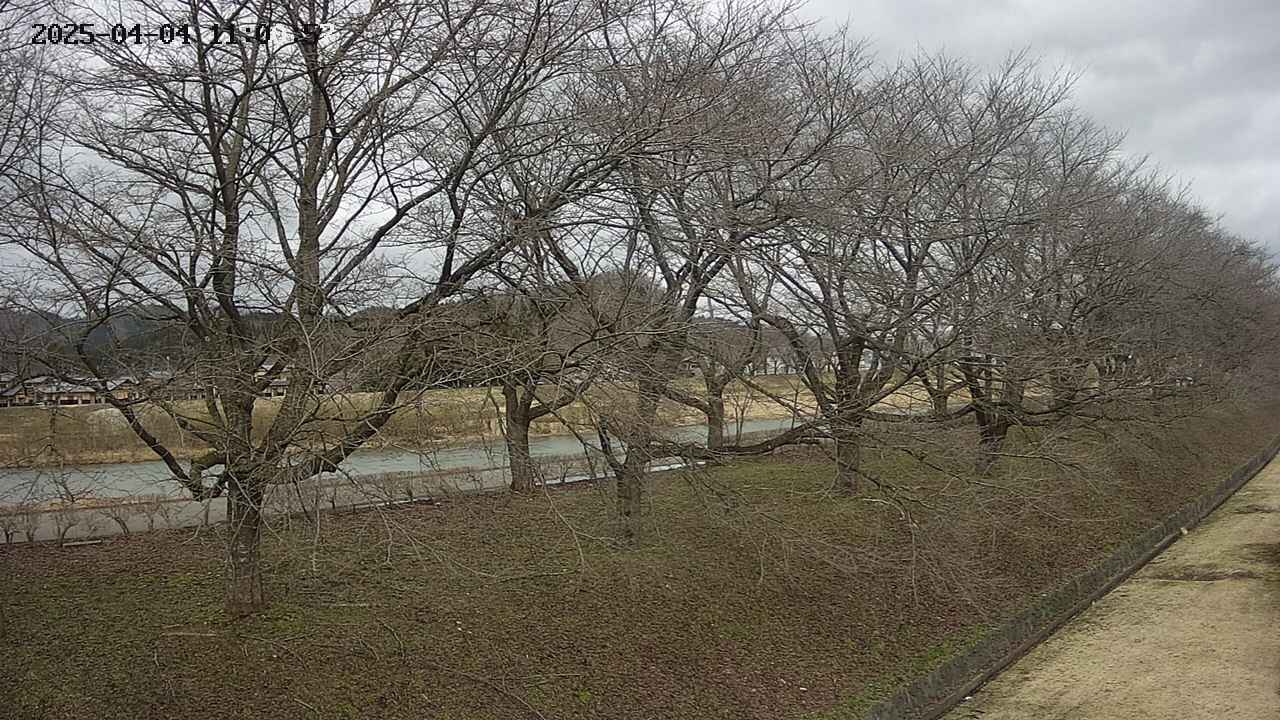 ochiai4-20250404110058.jpg