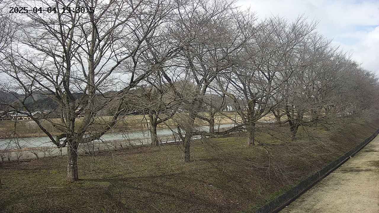 ochiai4-20250404133057.jpg