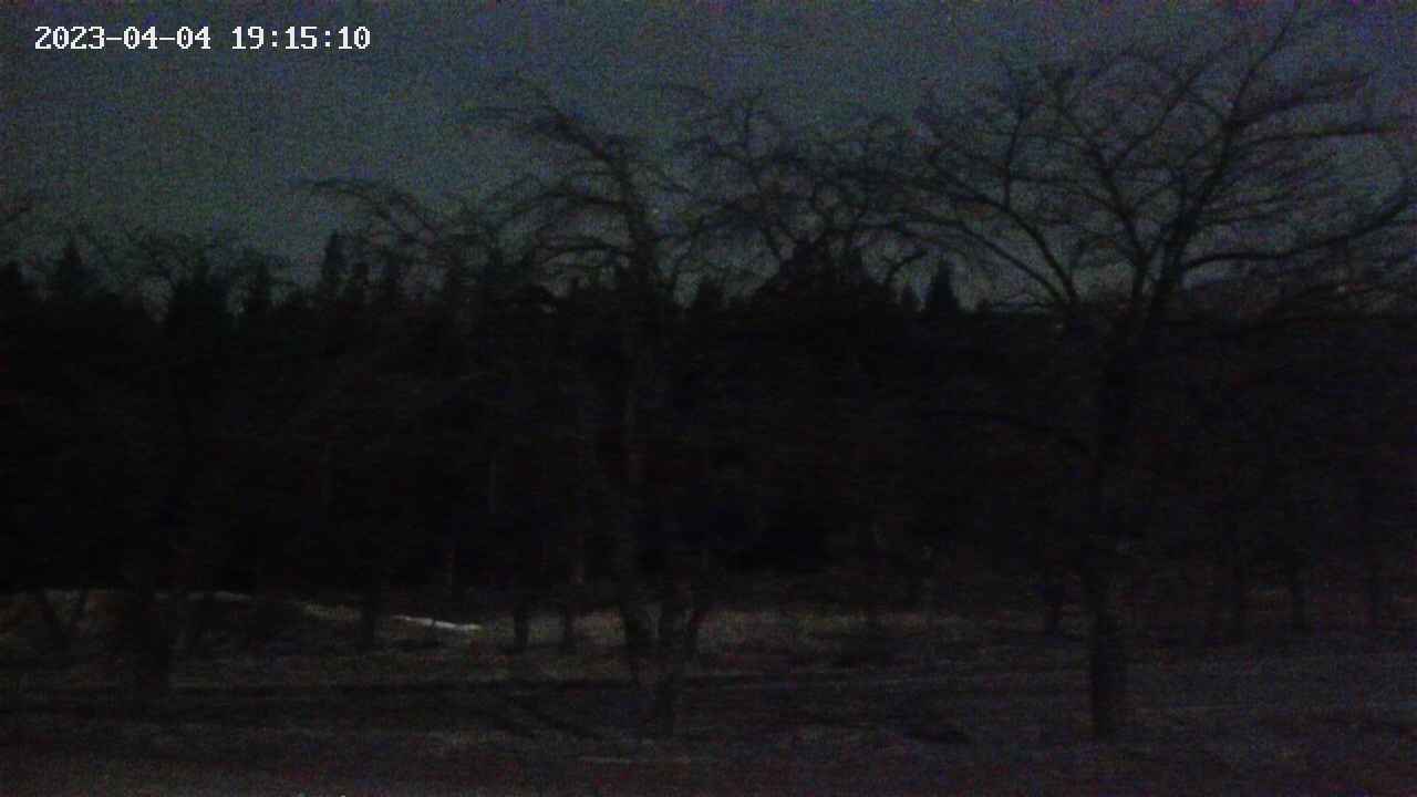 takano1-20230404191512.jpg