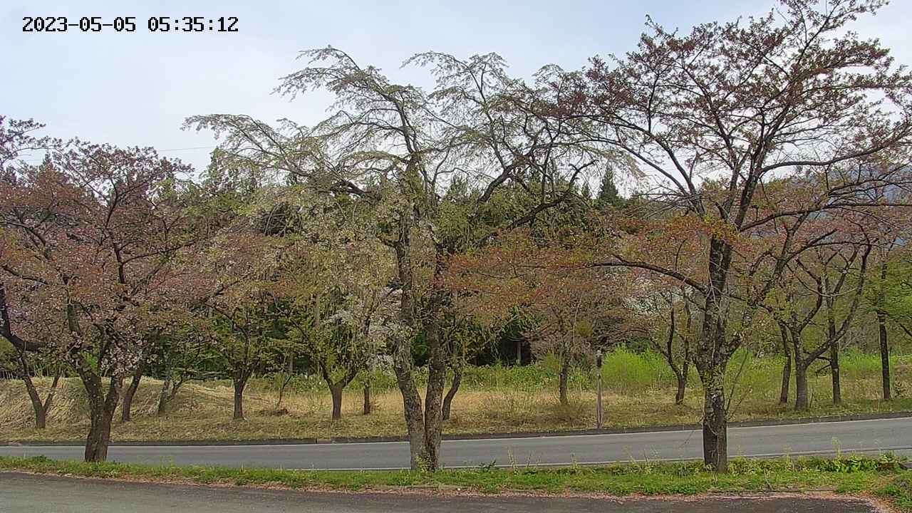 takano1-20230505053514.jpg