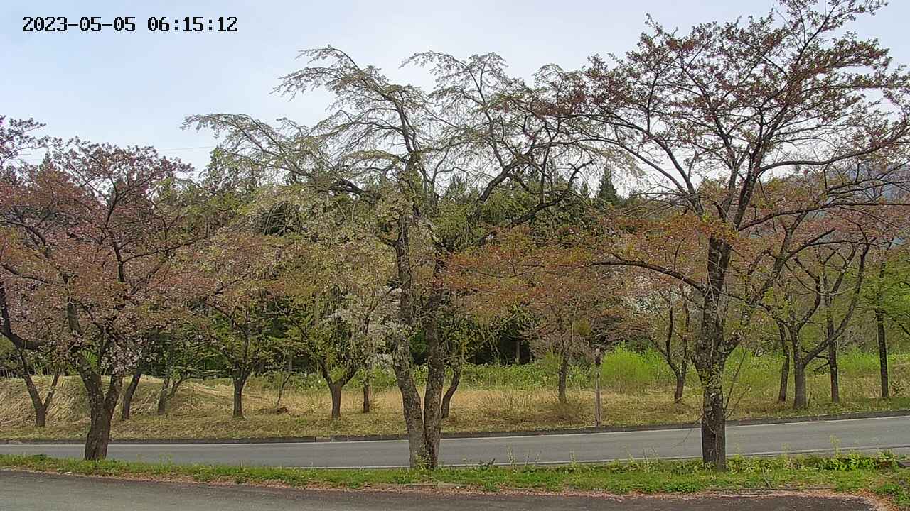 takano1-20230505061512.jpg