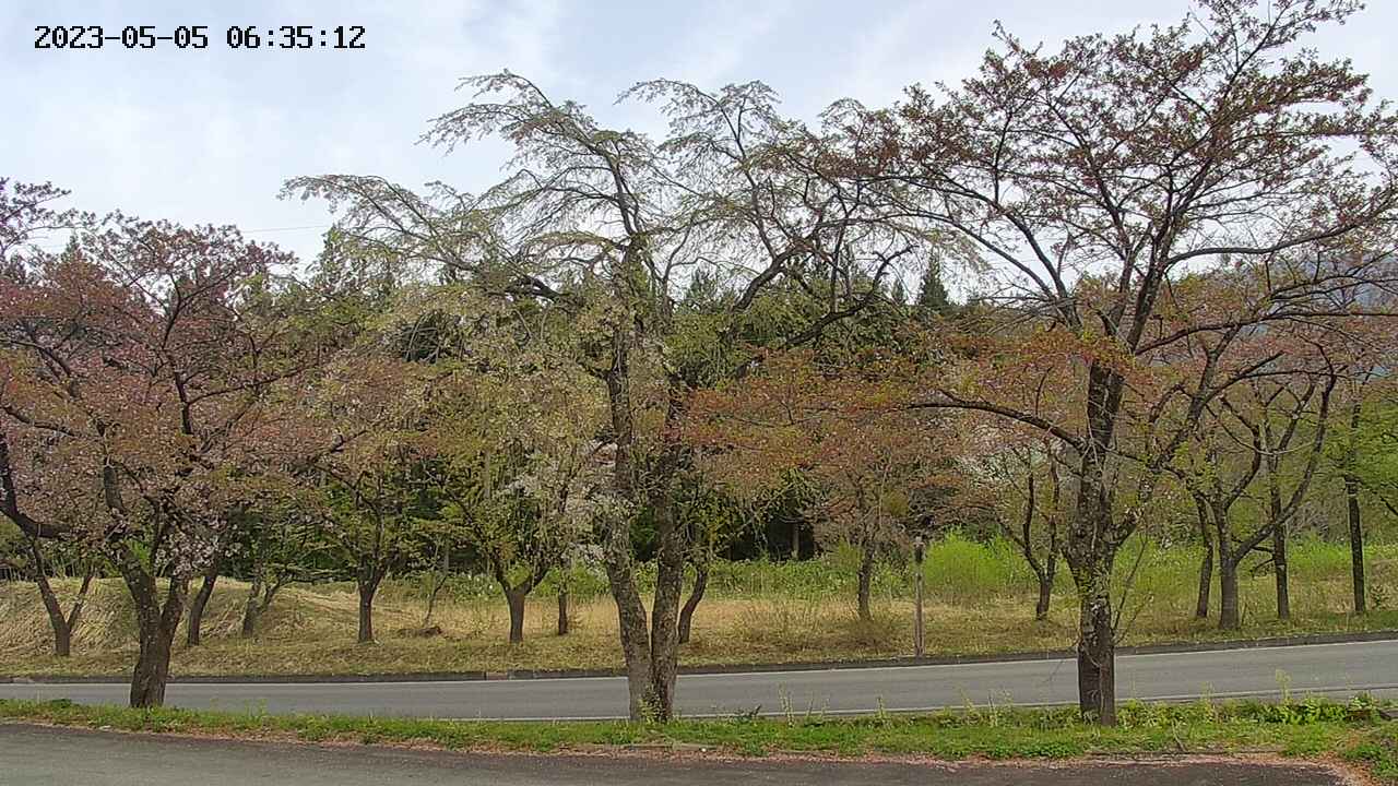 takano1-20230505063513.jpg