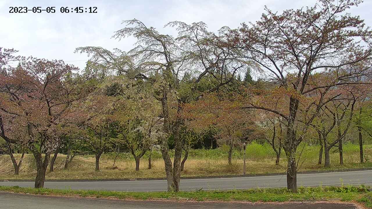 takano1-20230505064513.jpg
