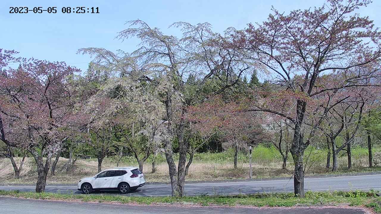 takano1-20230505082512.jpg