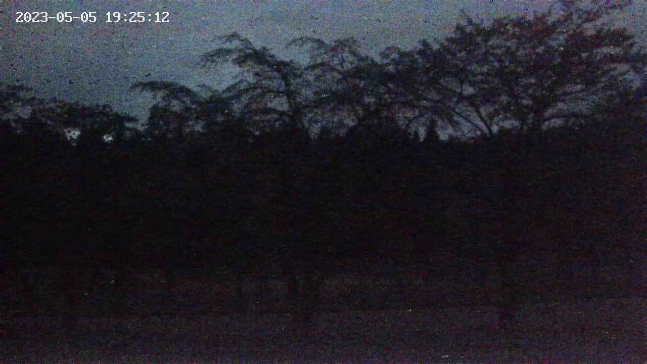 takano1-20230505192513.jpg