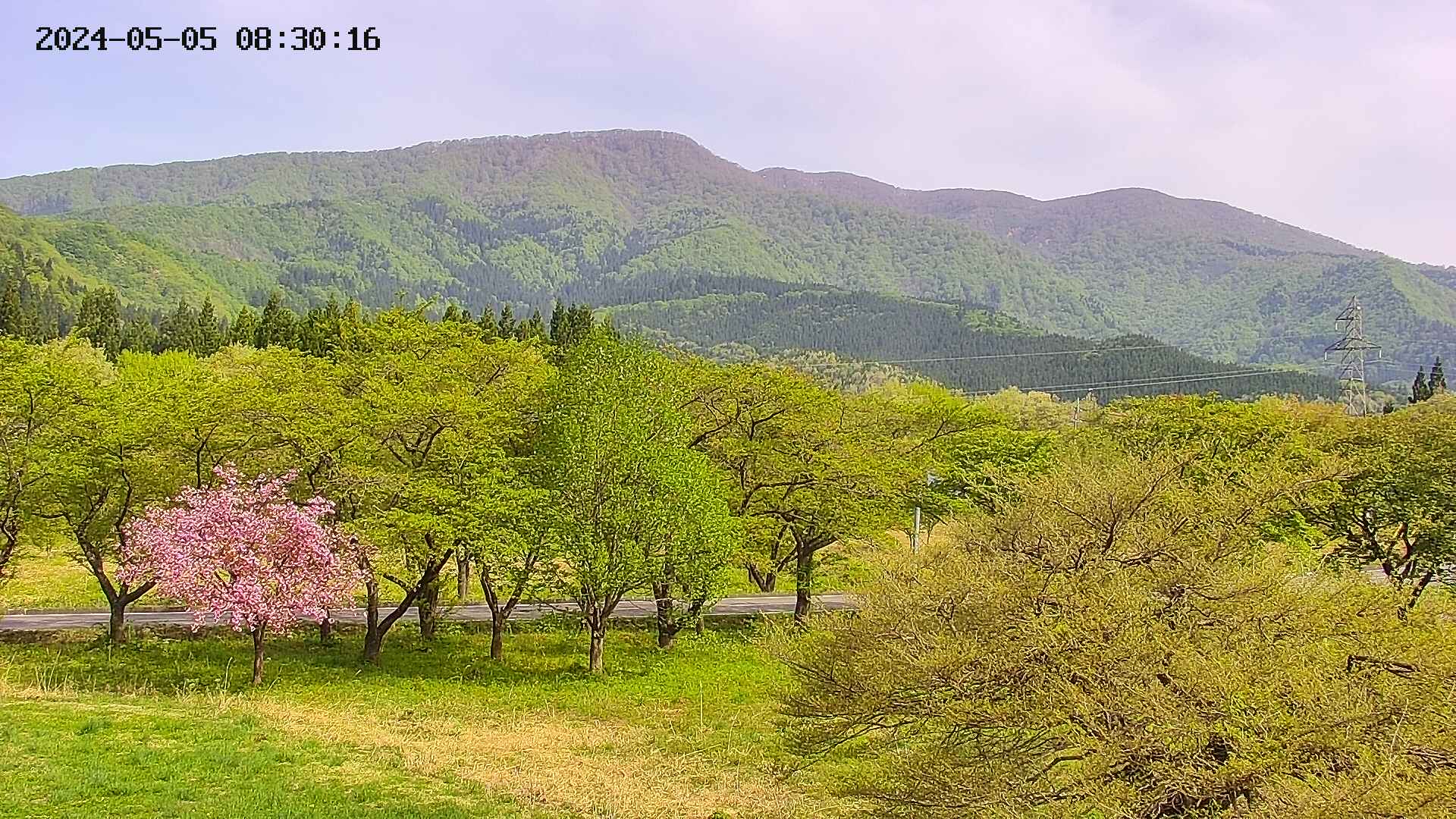 takano1-20240505083017.jpg