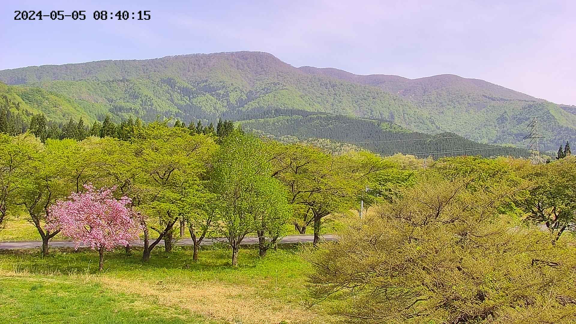 takano1-20240505084017.jpg