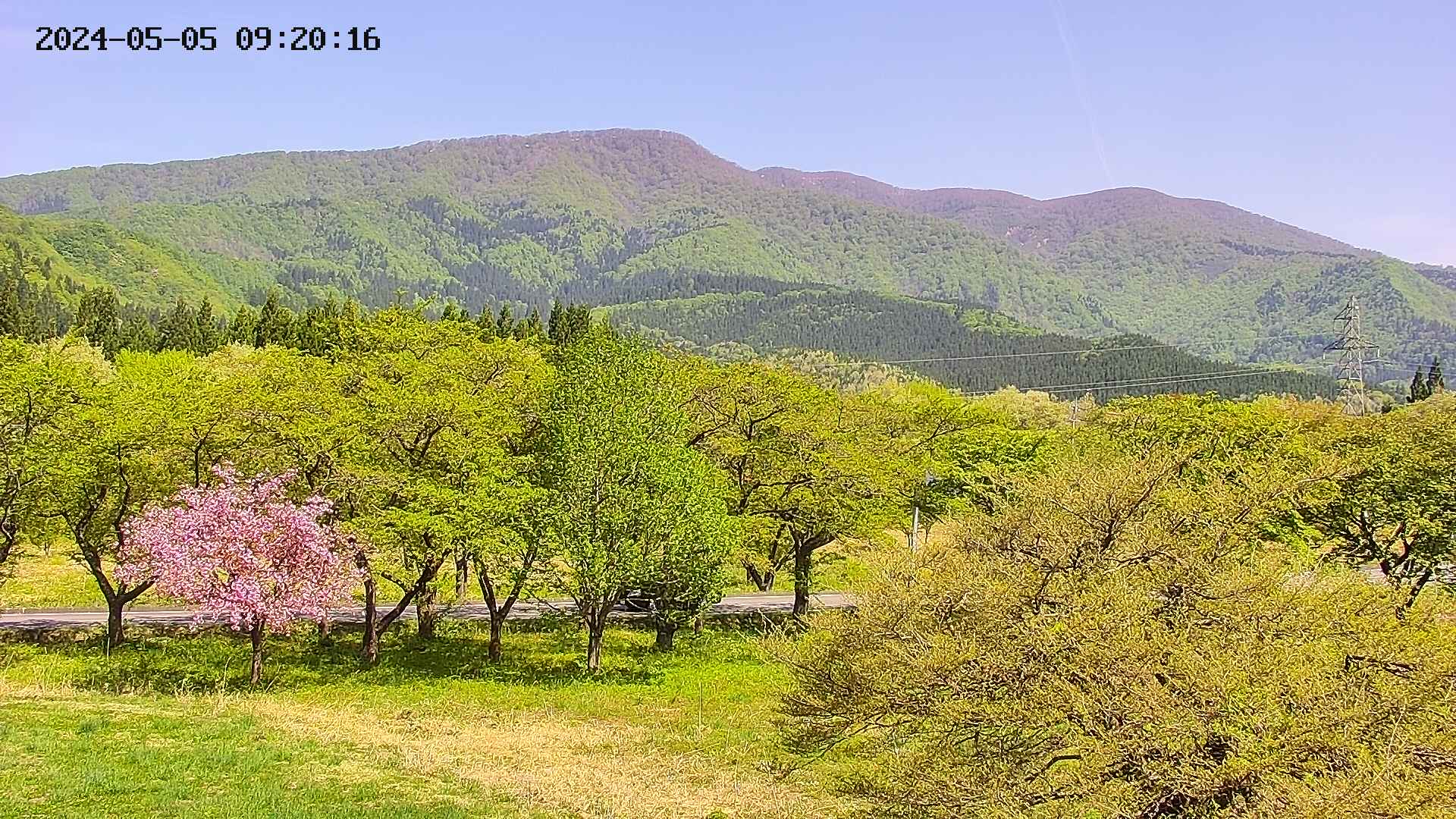 takano1-20240505092017.jpg