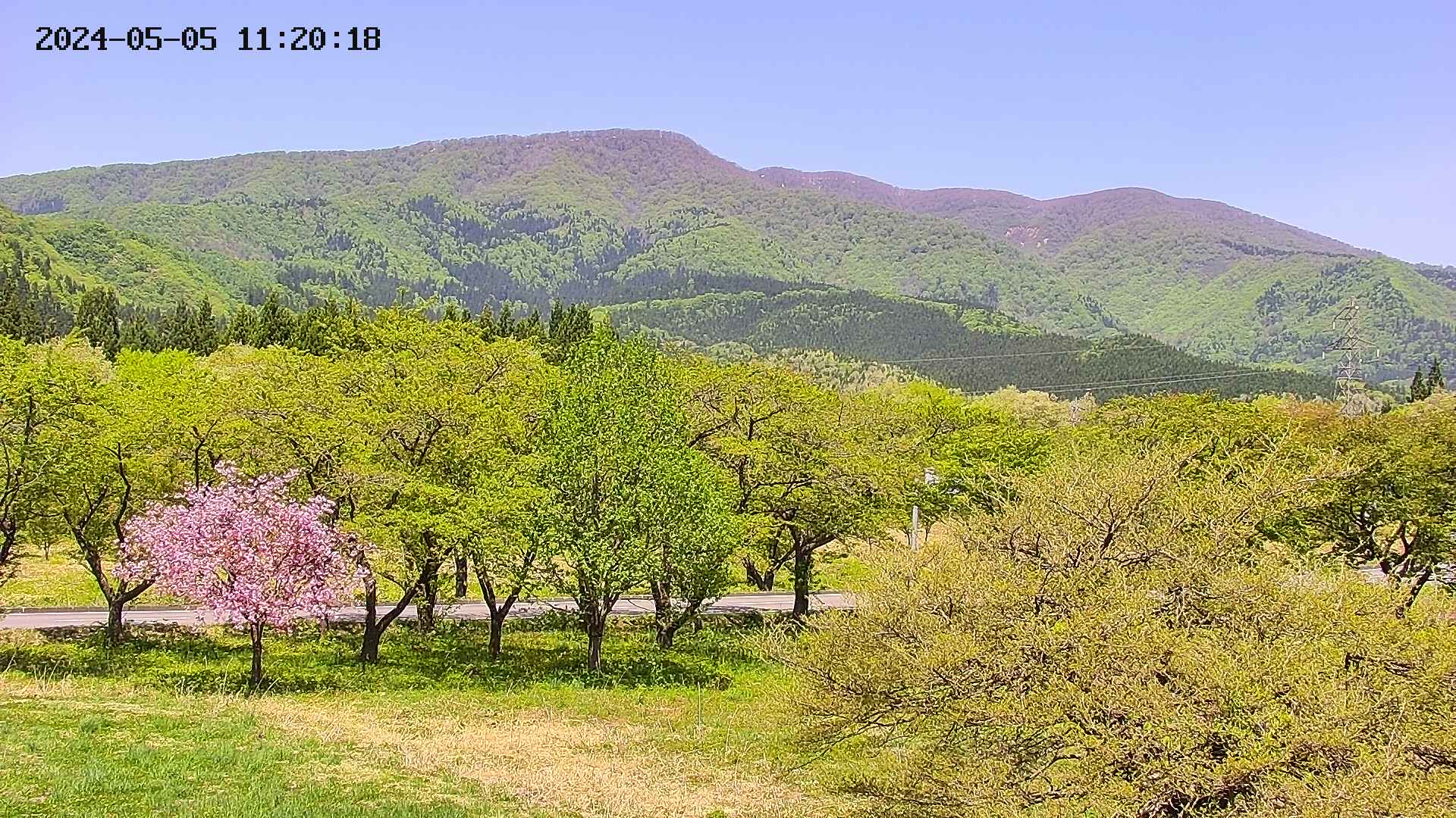 takano1-20240505112020.jpg