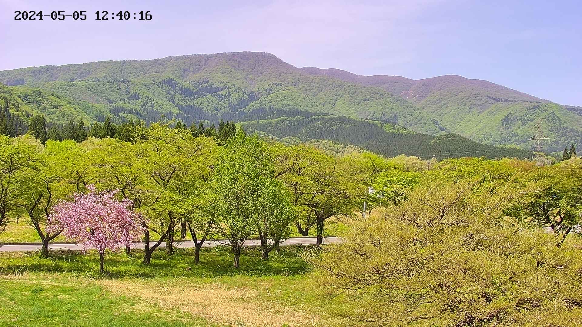 takano1-20240505124018.jpg
