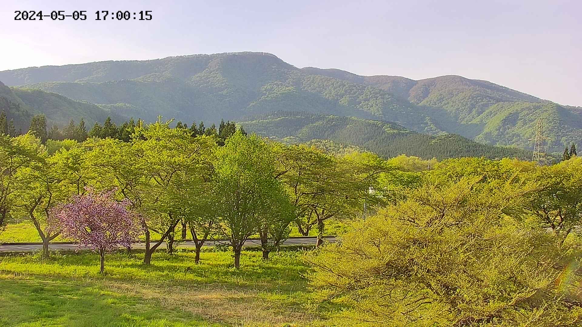 takano1-20240505170016.jpg