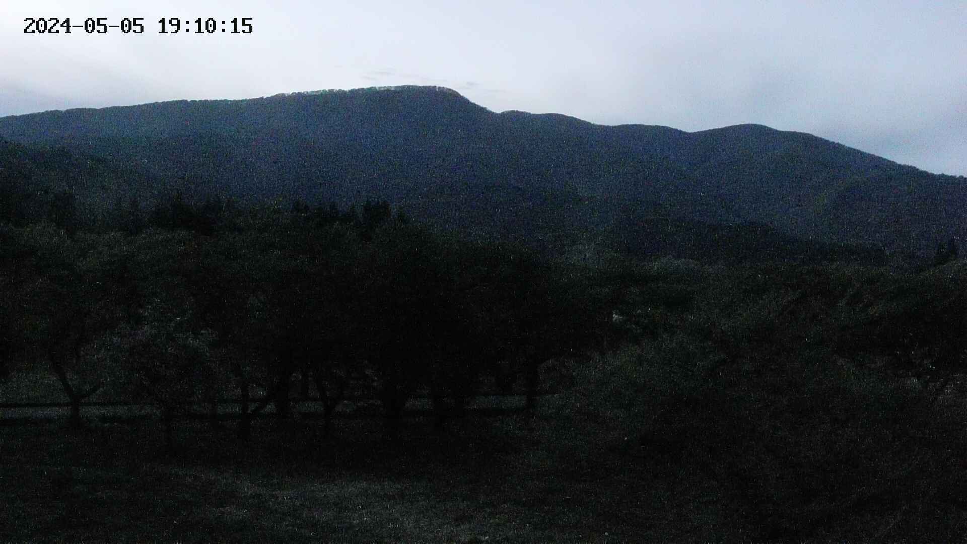 takano1-20240505191016.jpg
