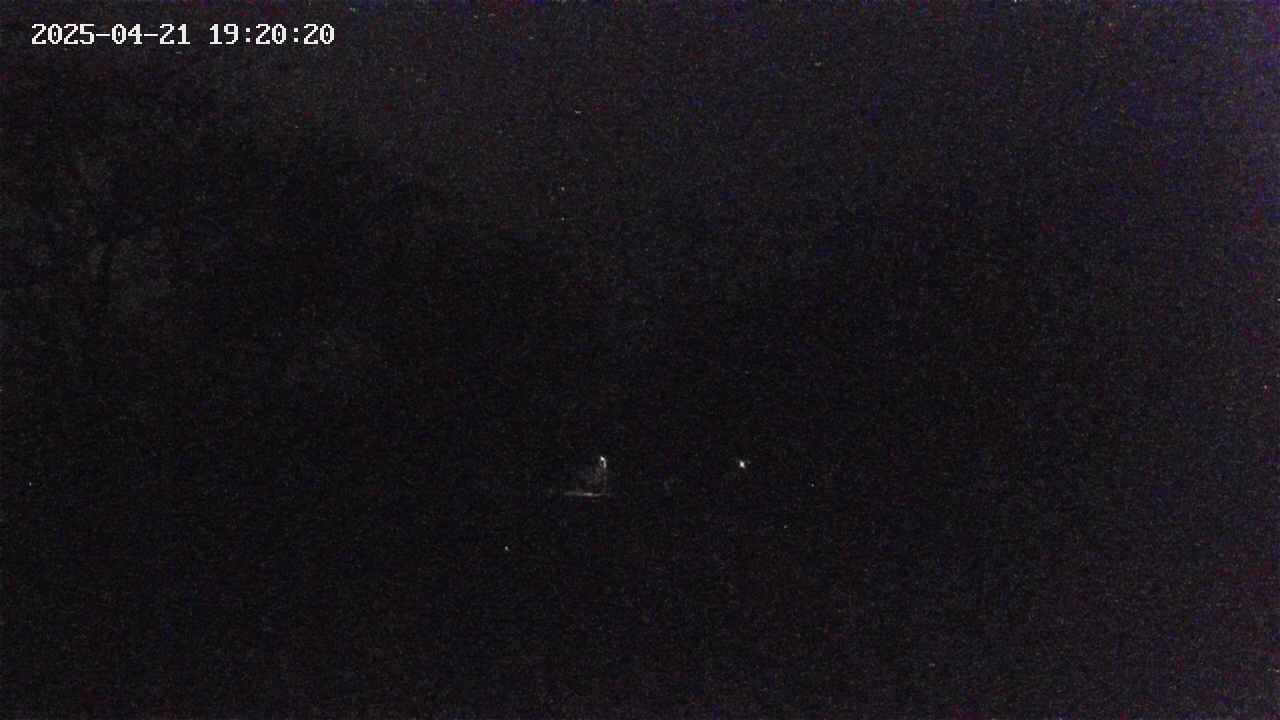 takano1-20250421192017.jpg