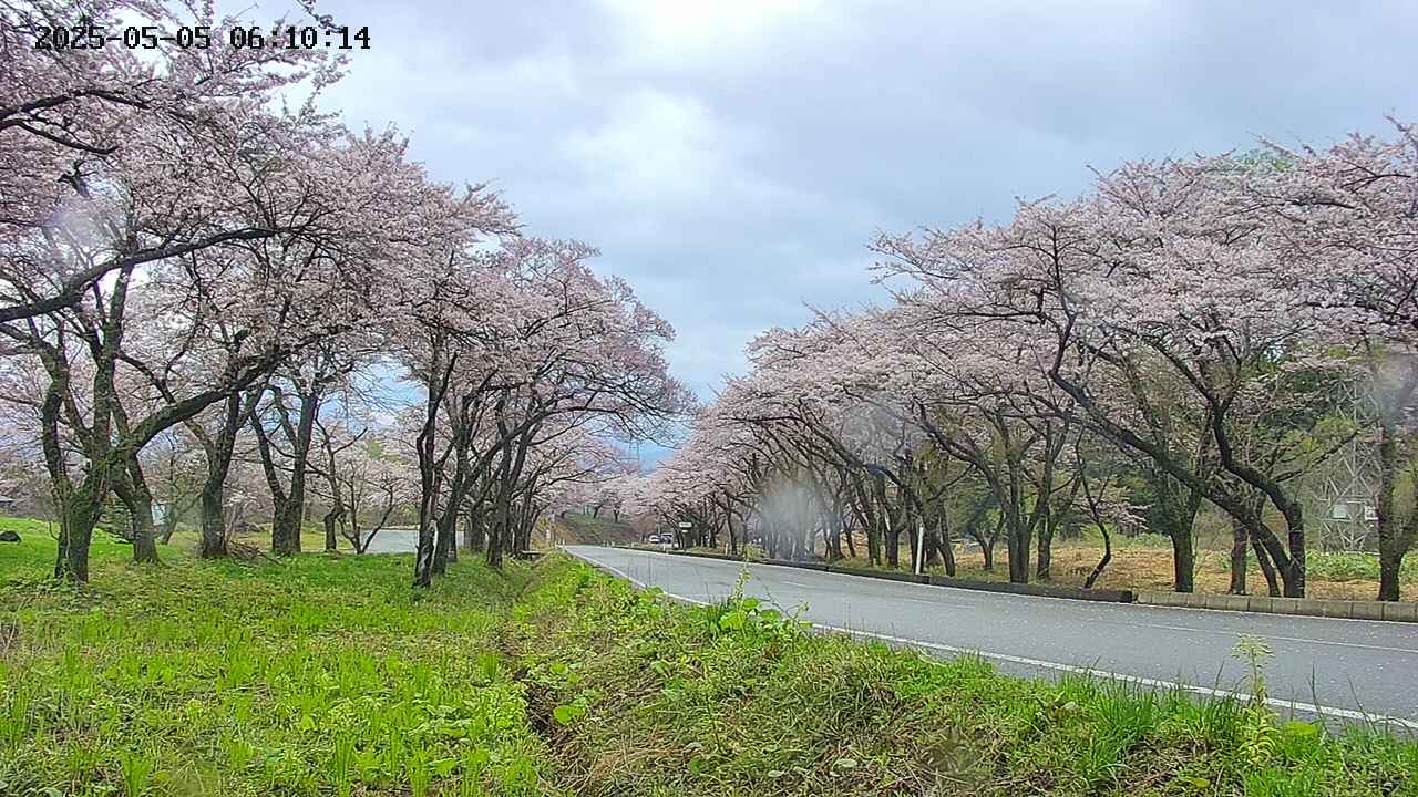 takano1-20250505061015.jpg
