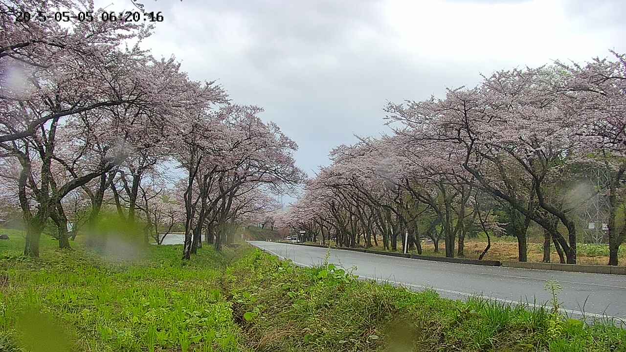 takano1-20250505062016.jpg