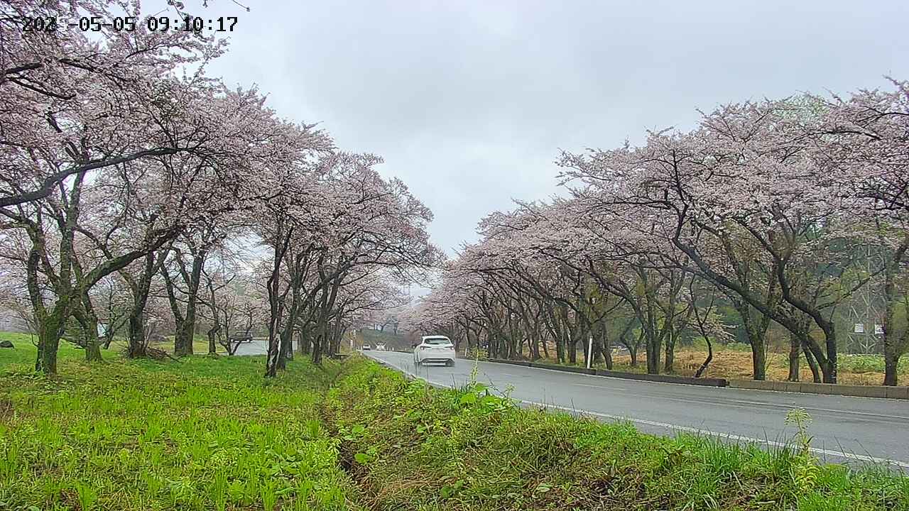 takano1-20250505091018.jpg